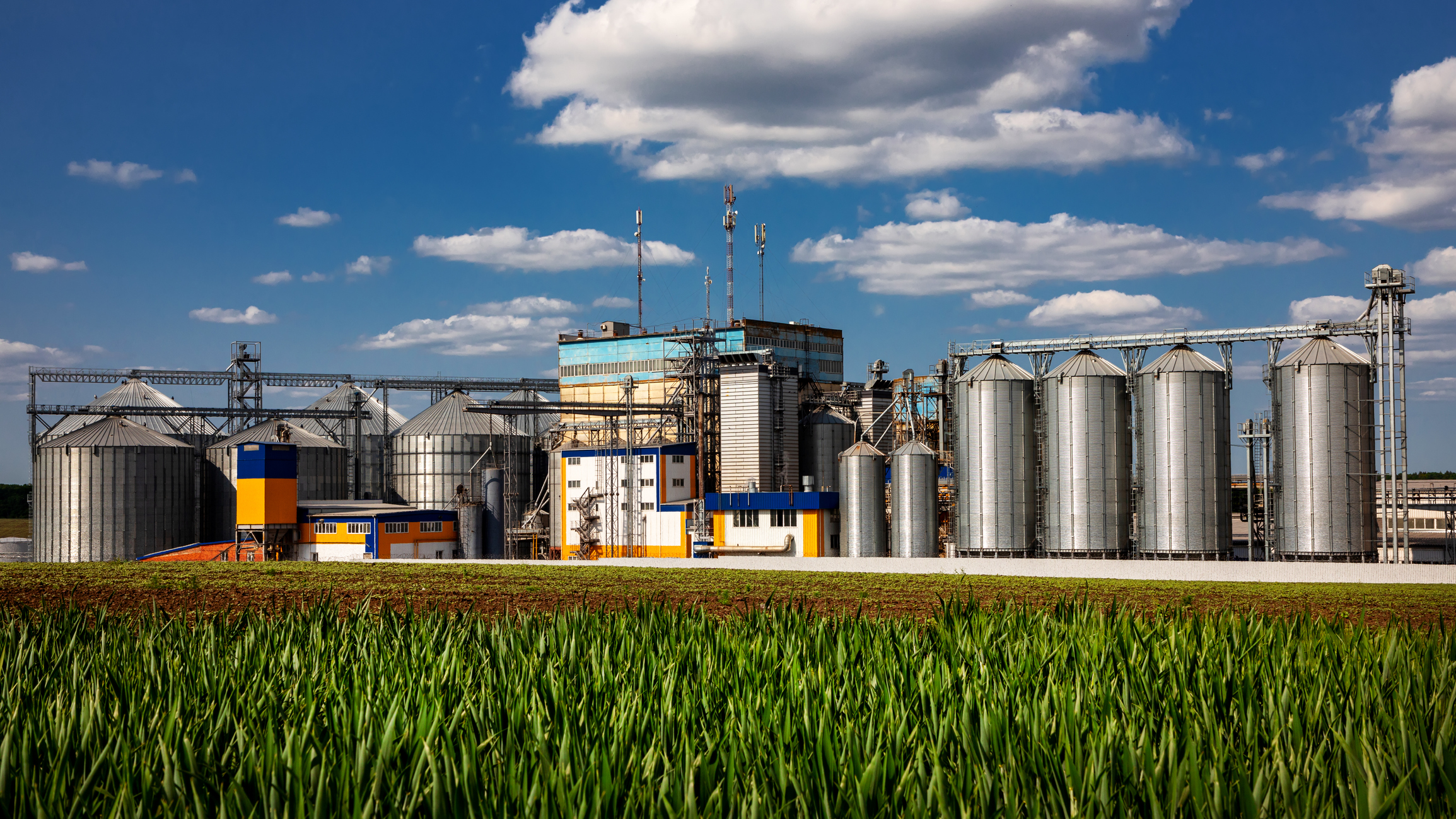 You are currently viewing Hidden costs of agri-food systems revealed by Oxford research