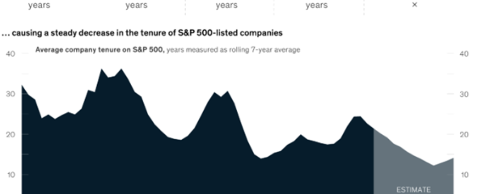 Close to the shore – Embracing patience and a low-risk equities portfolio