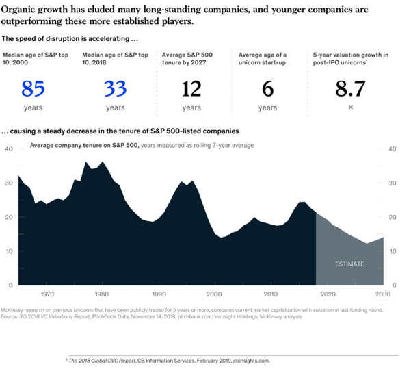 Read more about the article Close to the shore – Embracing patience and a low-risk equities portfolio