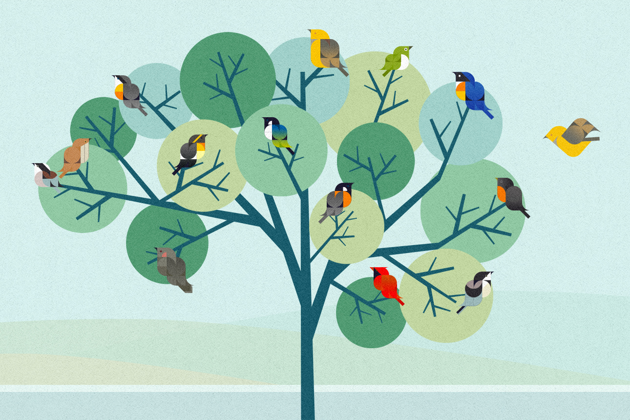 You are currently viewing Diverse Teams Thrive With Four Elements of Belonging
