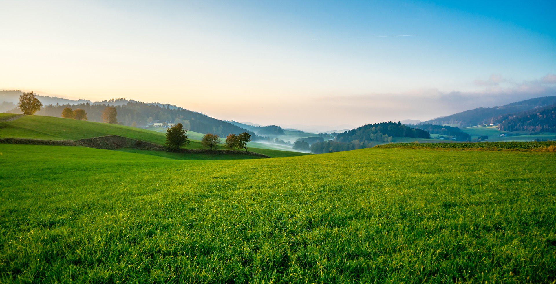 You are currently viewing Green Views for Healthier Diets