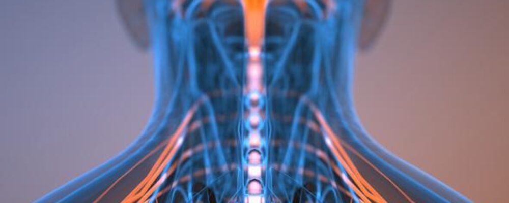 Robotic nerve ‘cuffs’ could help treat a range of neurological conditions