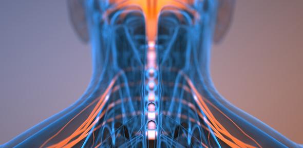 You are currently viewing Robotic nerve ‘cuffs’ could help treat a range of neurological conditions