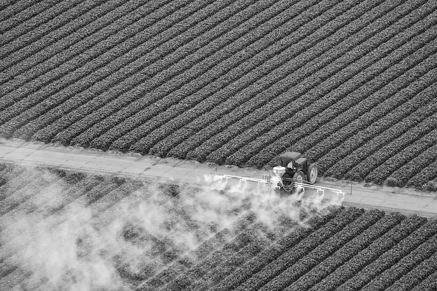 You are currently viewing New device produces critical fertilizer ingredient from thin air