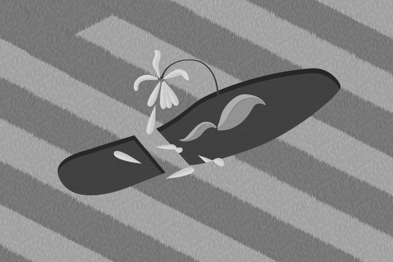 You are currently viewing What the Trump Administration Means for Sustainability Efforts
