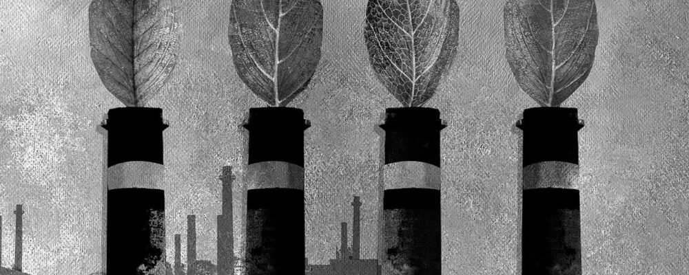 The Way to Net Zero: Reducing Emissions Takes Teamwork