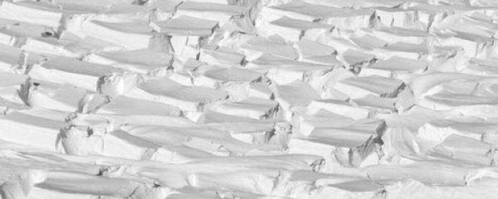 AI reveals insights into the flow of Antarctic ice