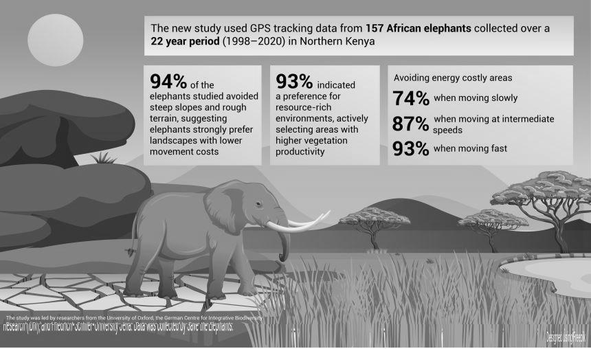 Infographic summarising the key findings from the study, with a cartoon elephant in the foreground.