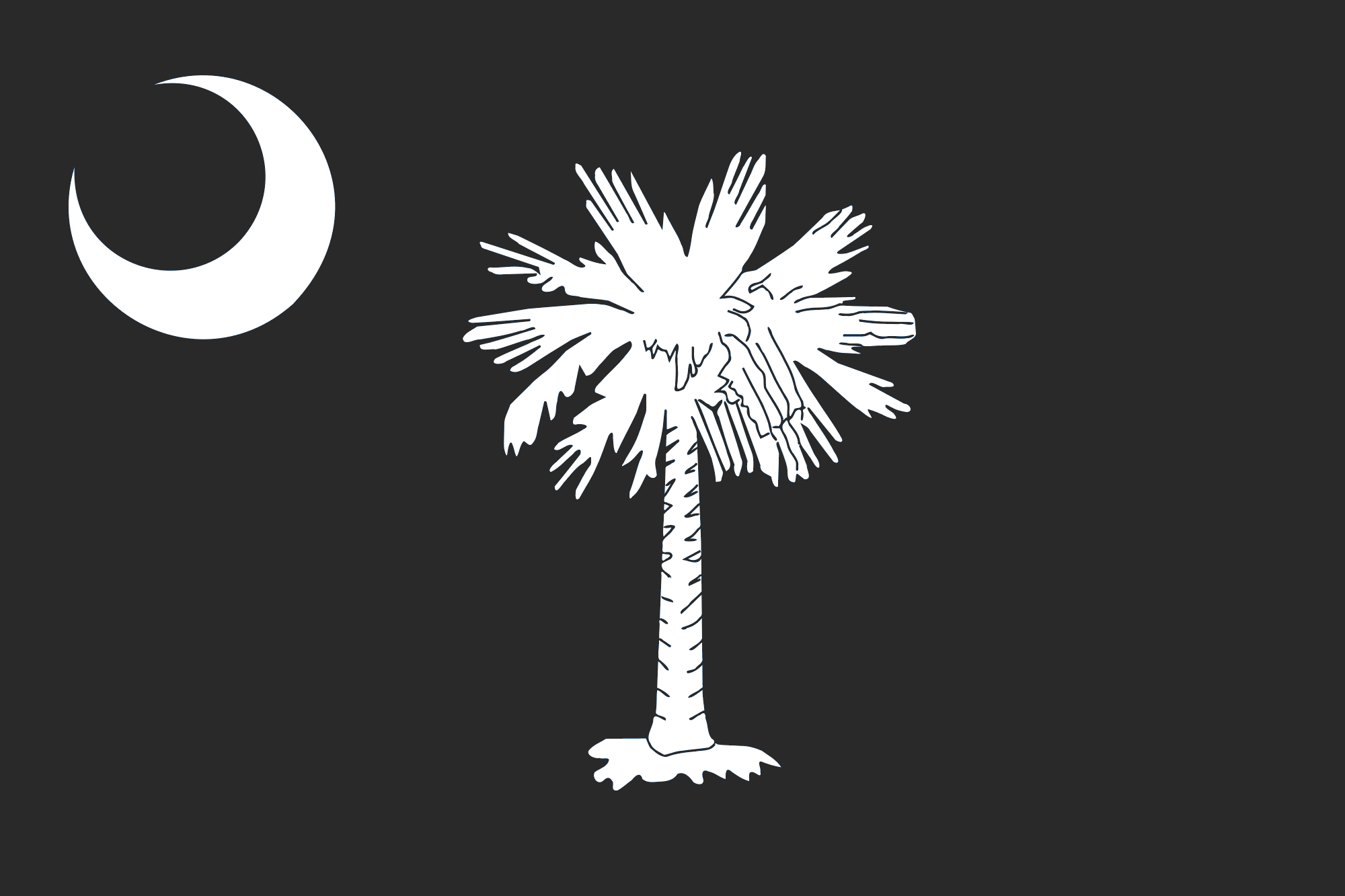 You are currently viewing South Carolina House and Senate Introduce Legislation on Diversity, Equity, and Inclusion