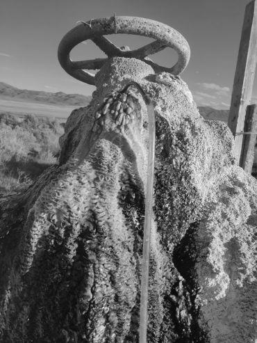 Close-up view of a natural water well with mineral deposits and green algae growth, topped with an old metal valve handle, set against a scenic landscape with mountains and blue sky.