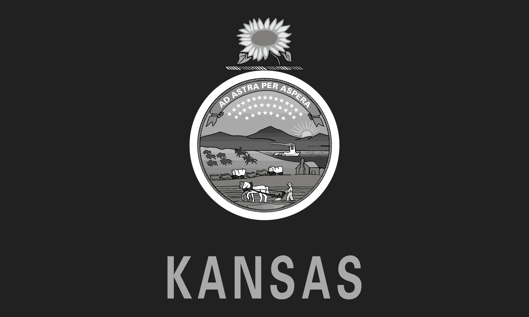 You are currently viewing New Kansas Law Will Presume Nonsolicitation Agreements Enforceable
