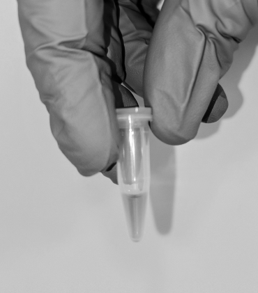 A hand wearing a blue latex glove holds a closed Eppendorf tube containing a fluorescent pink liquid.