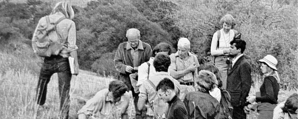 Jasper Ridge docent program celebrates 50 years