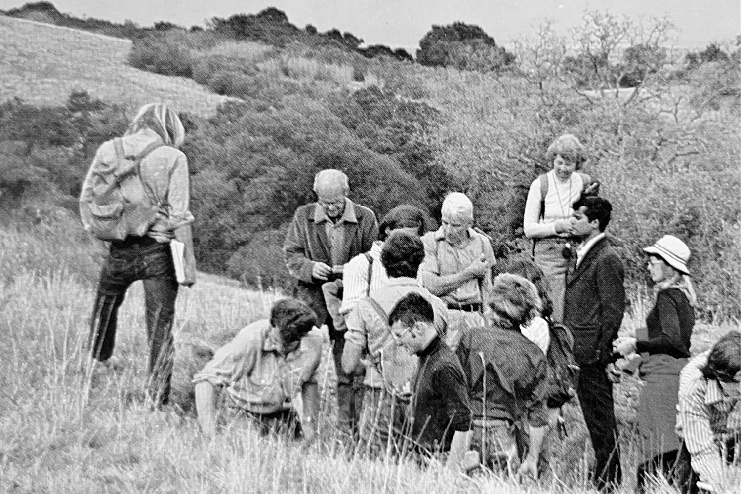 You are currently viewing Jasper Ridge docent program celebrates 50 years
