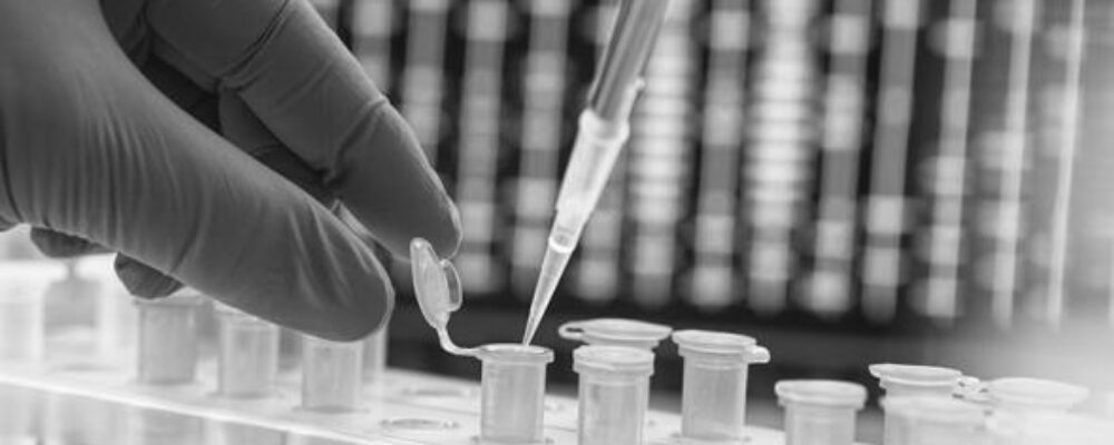 Cambridge researchers awarded Advanced Grants from the European Research Council