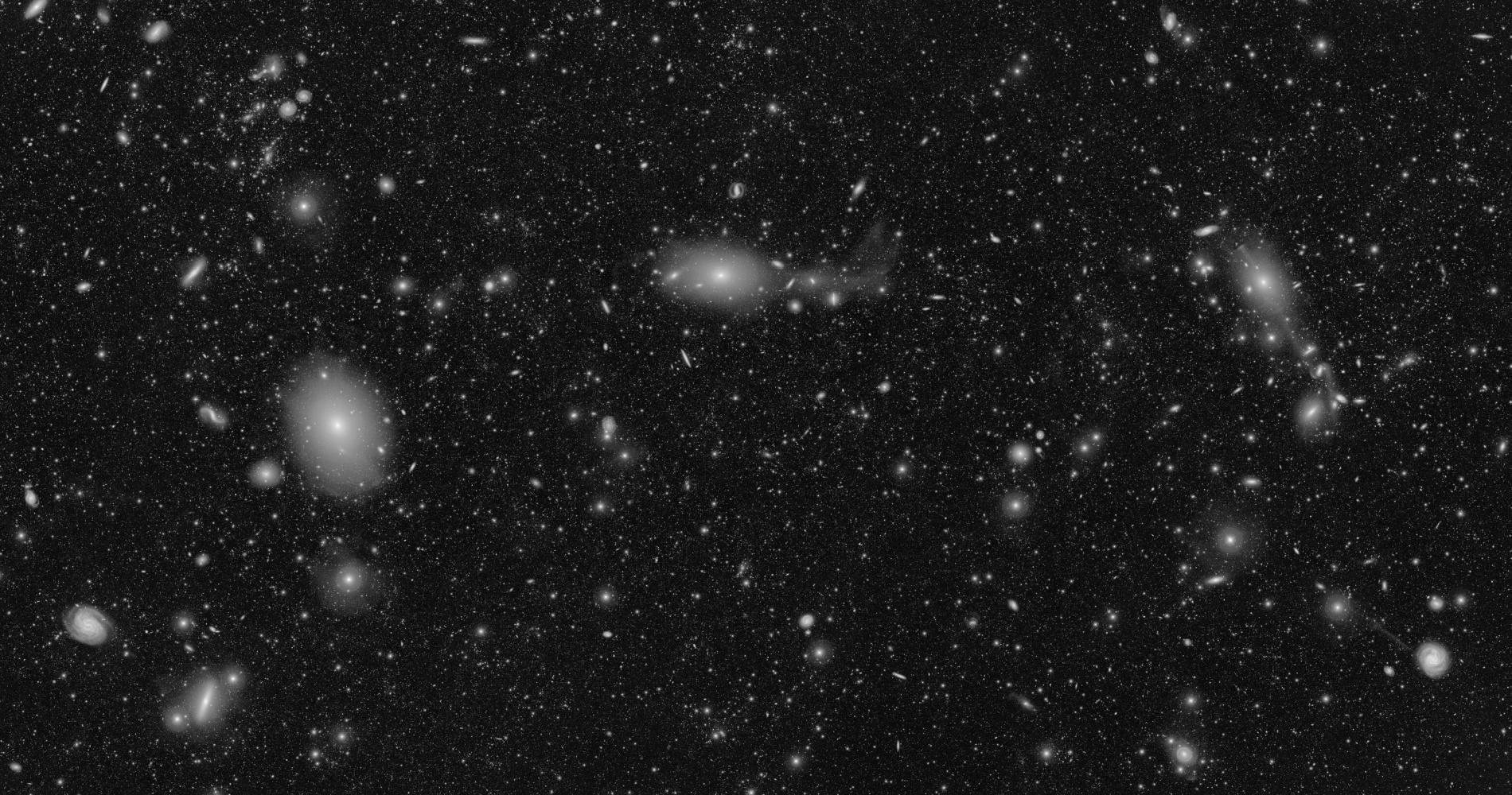 You are currently viewing The bold bet that built a telescope