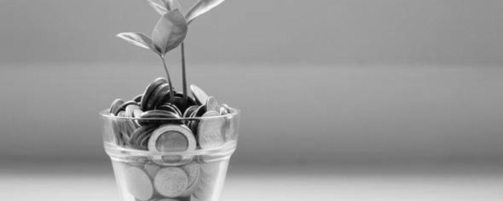 Cambridge-led coalition to seed £500m fossil-free cash investment fund