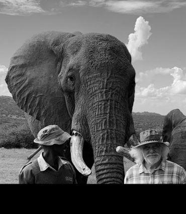 Two men stand next to an African elephant in Africa. One if Fritz Vollrath, a white man wearing a large-brimmed green hat and a checked shirt.