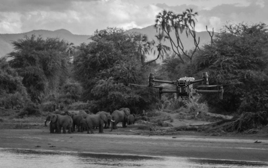 Background shows a herd of elephants by a river in Africa. Foreground shows a hovering drone.