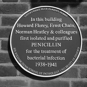 Blue plaque on a wall commemorating the first isolation and purification of penicillin.