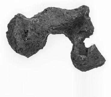 An irregularly shaped dark rock with a rough surface.