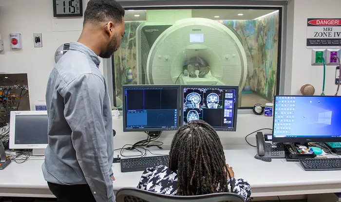 A study led by the Wood Neuro Group used advanced brain imaging and a digital visualization tool to illuminate how sickle cell disease pain is processed in the brain.