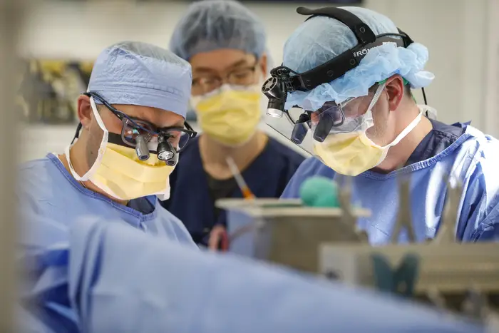 The Neurosurgical team at the University of Rochester works together during an awake craniotomy for brain tumor resection. Credit: Matt Wittmeyer