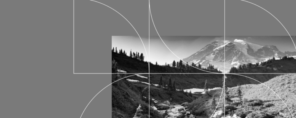 Now Available! Washington Peculiarities: An Employer’s Guide to Labor & Employment Laws in the Evergreen State (2026 Edition)