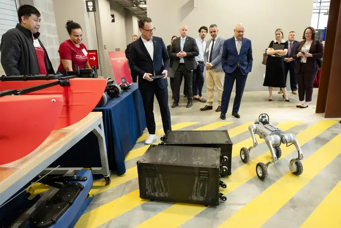 people observing robot