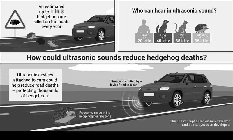 Infographic of study findings showing the hearing range of hedgehogs and how ultrasound repellers on a car could work to deter hedgehogs from roads.