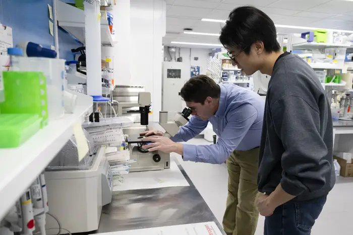 Andreas Pfenning and Stephen Wu conduct research in a lab.