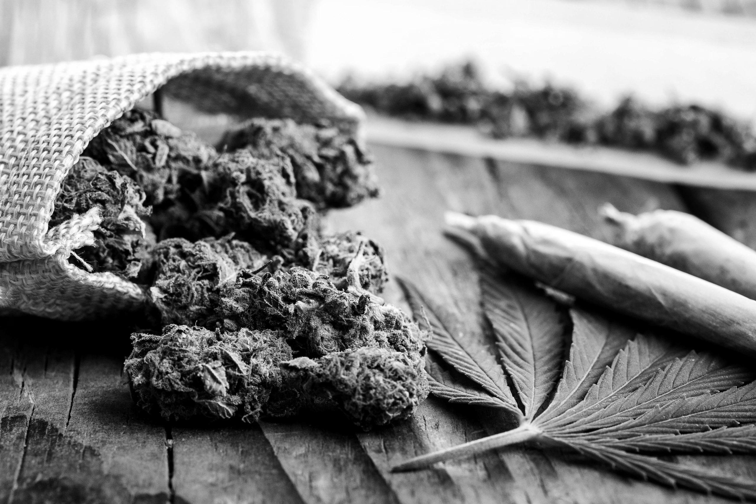 You are currently viewing Maine Revises Workplace Drug Testing Law