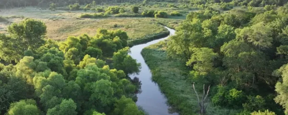 Google’s water stewardship commitments for local communities
