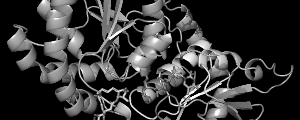 New antimicrobials could help tackle deadly drug-resistant infections