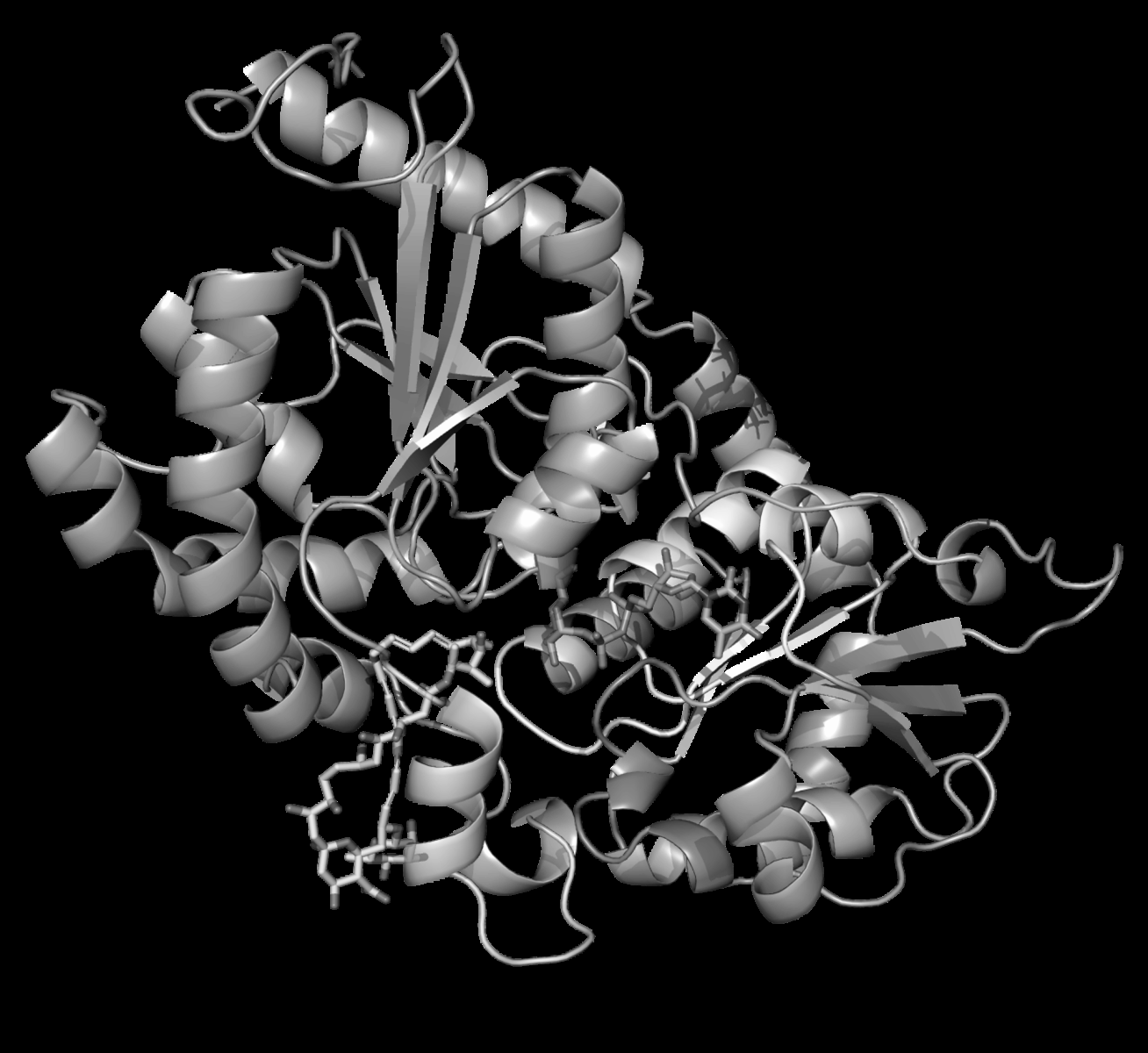 You are currently viewing New antimicrobials could help tackle deadly drug-resistant infections