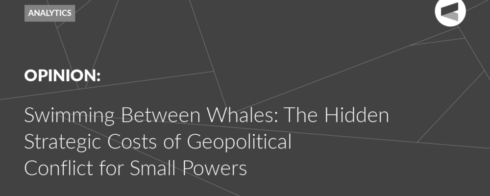 Swimming Between Whales: The Hidden Strategic Costs of Geopolitical Conflict for Small Powers