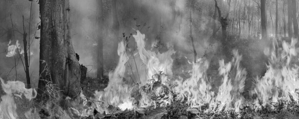 Indoor air quality: heat and wildfire smoke leave households with hard choices, find researchers