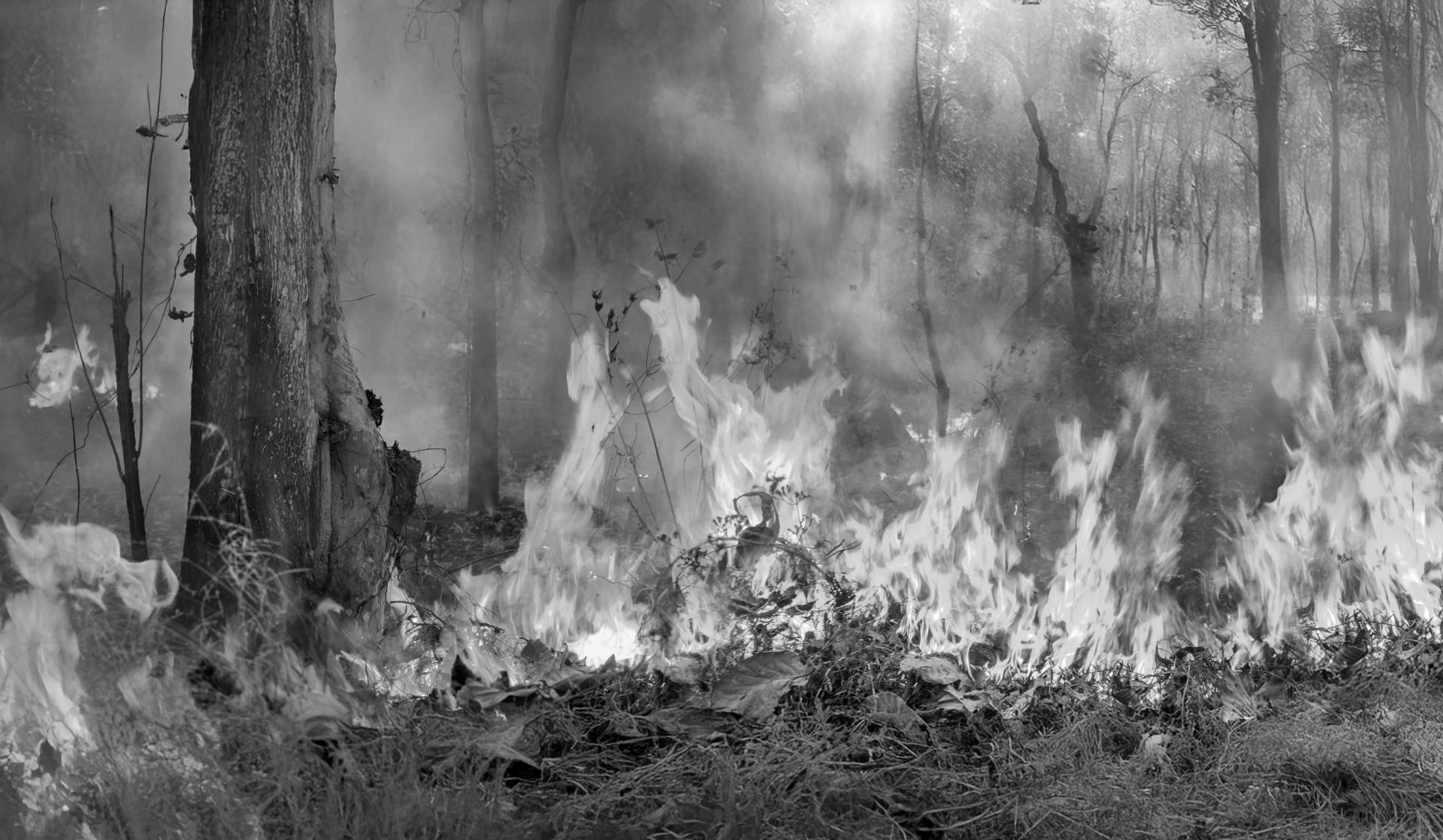 You are currently viewing Indoor air quality: heat and wildfire smoke leave households with hard choices, find researchers