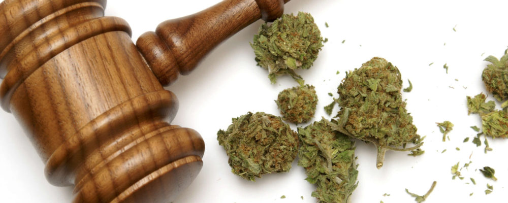 Florida Court Reinforces Employer’s Ability to Enforce Marijuana Policies in Public Union Contract