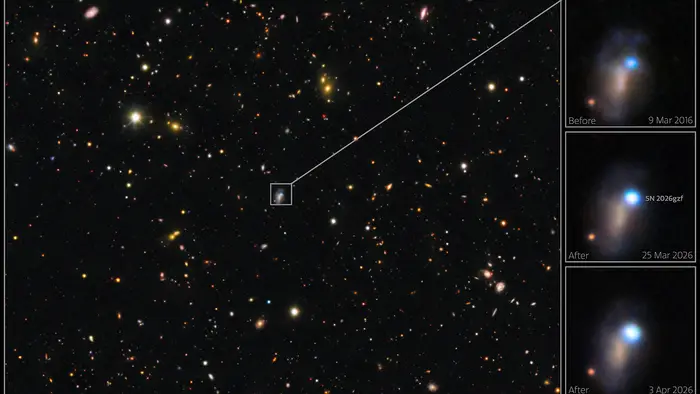 Images taken on 25 March and 3 April 2026 show the supernova brightening. An archival image of the host galaxy from 9 March 2016 reveals a bright blue source at the location of the supernova.