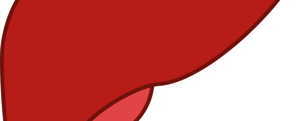 Symptomless liver condition linked to heart and kidney disease